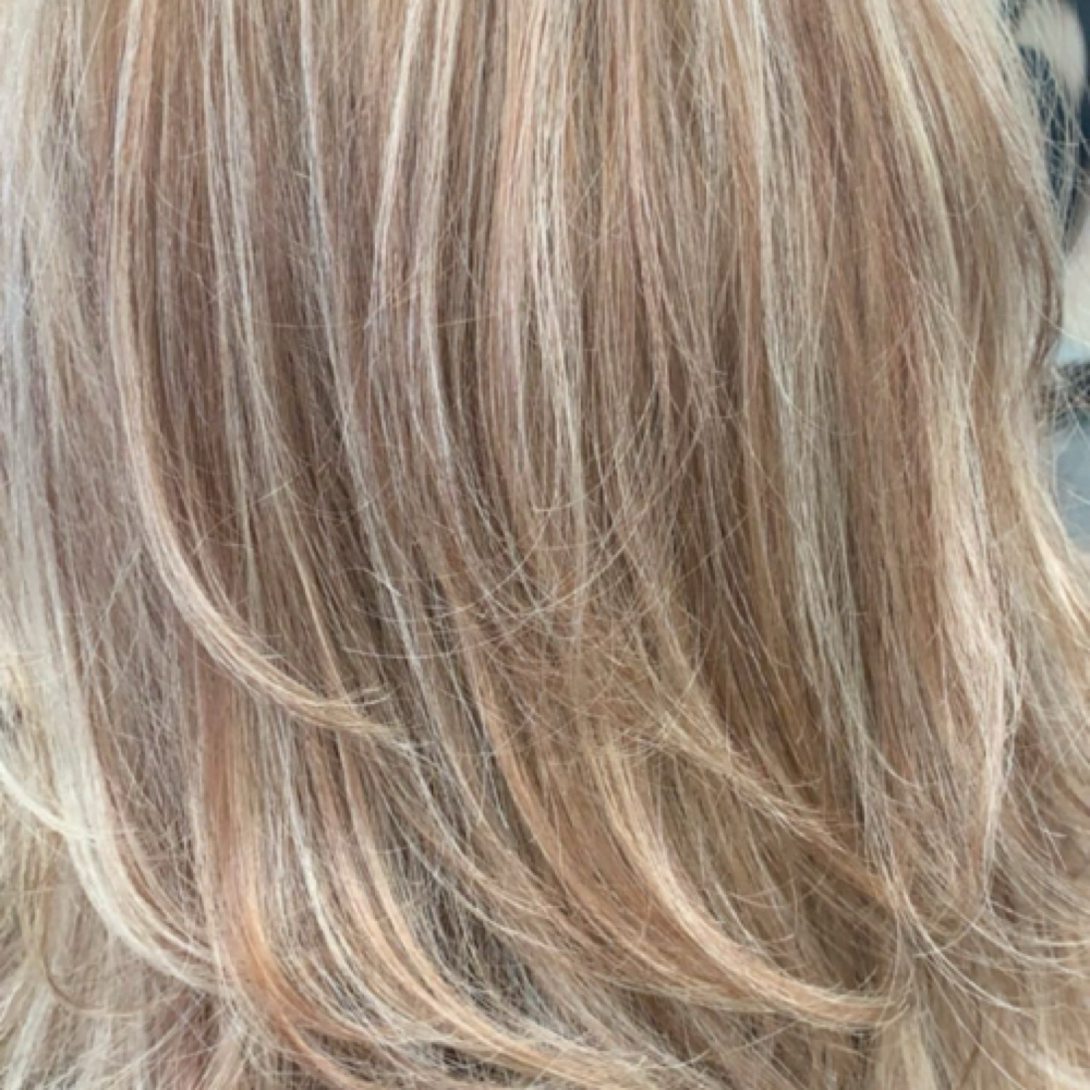Partial highlights at Snazzy Jazzy in Gainesville, VA