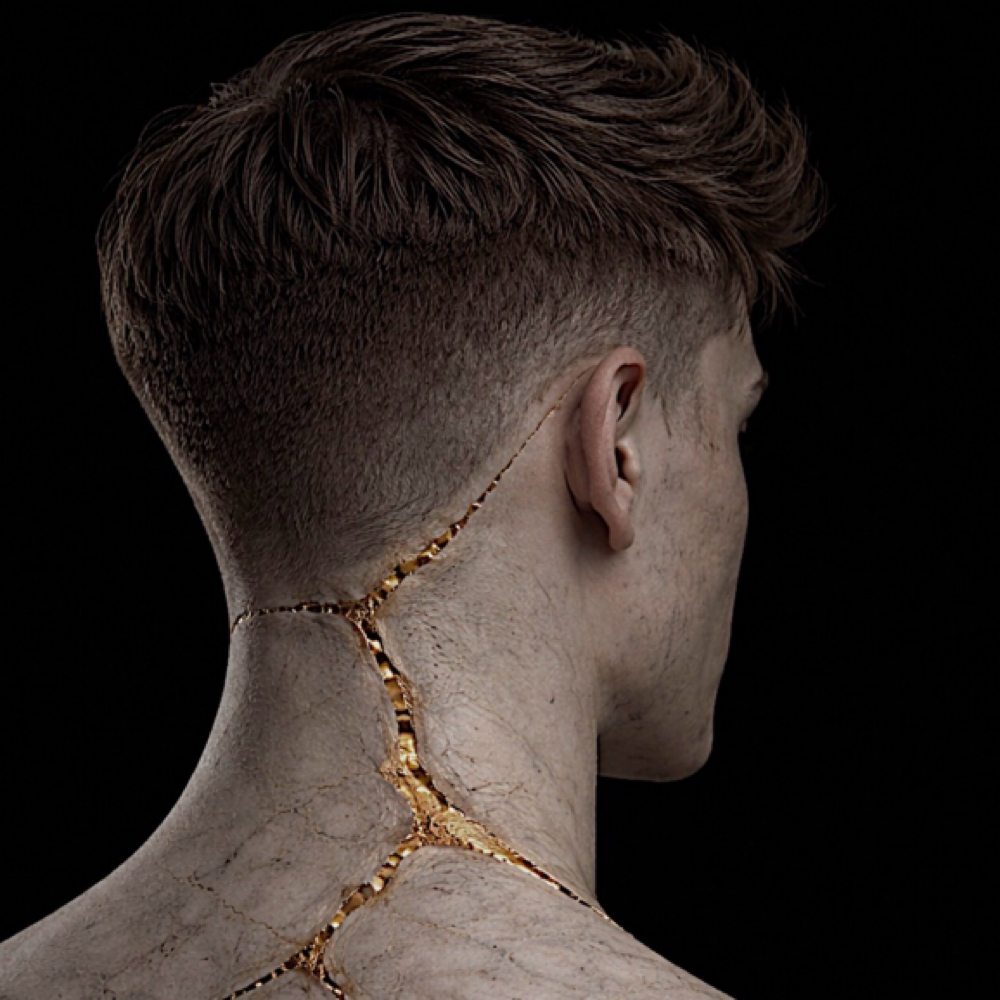 Express Cut at Thompson & Co. Grooming in Charlotte, NC