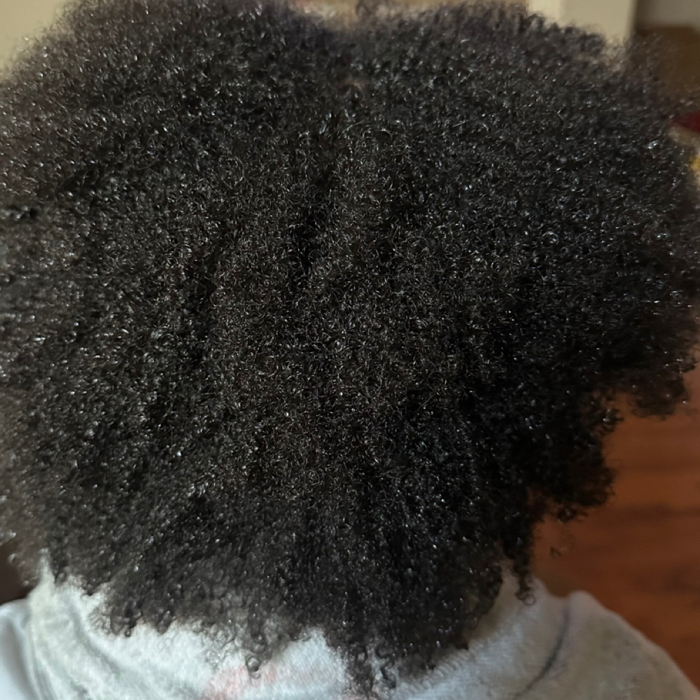 Consultation/Hair Plan at Divine Touchesss in Houston, TX
