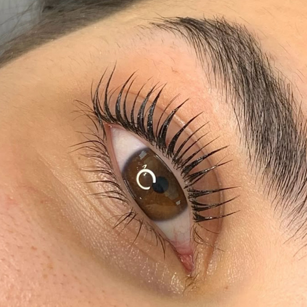 Lash Tint/ Lash Lift/ Lash Combo