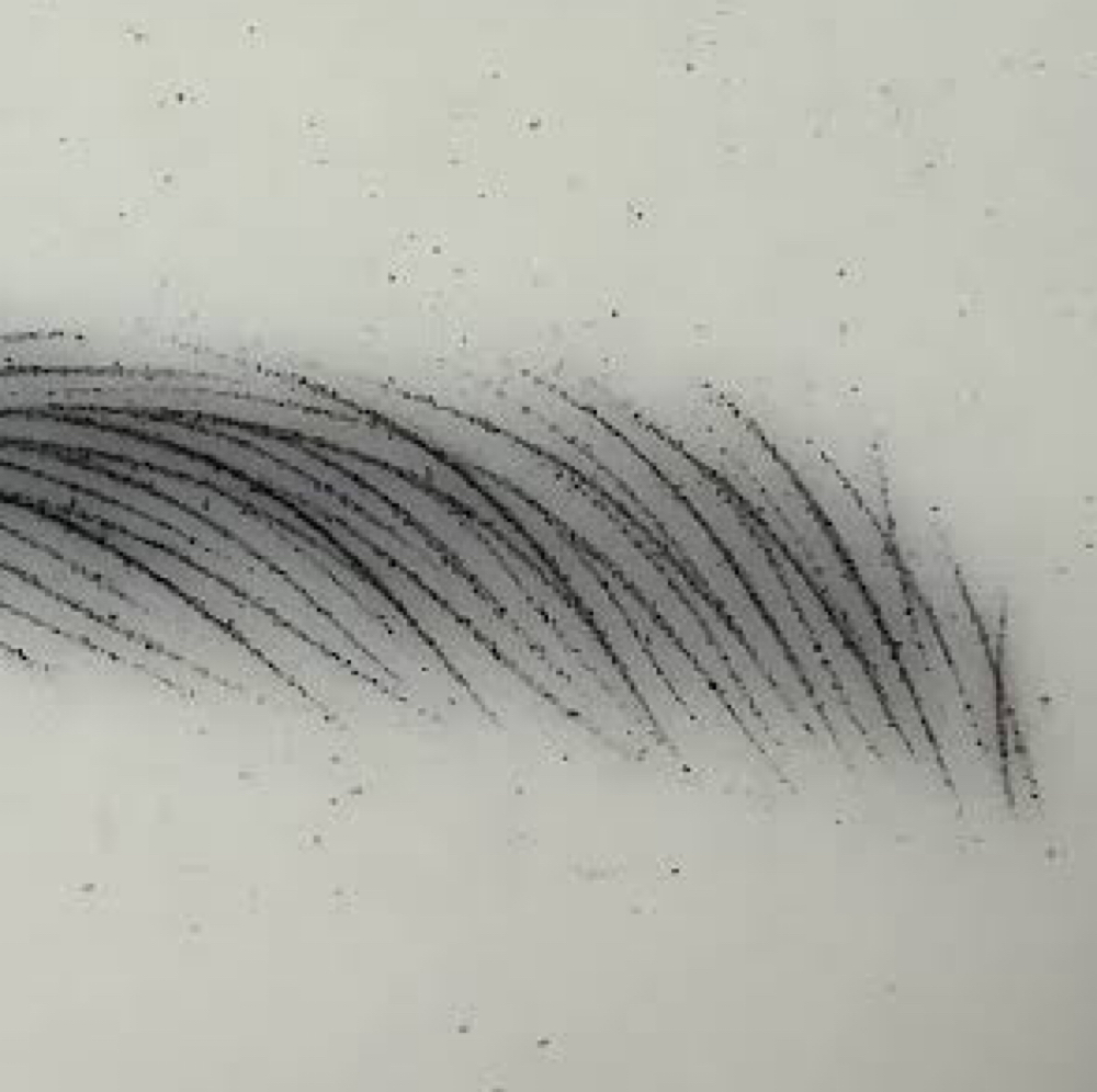 Nano Brows (COMING SOON!!) at Made New Aesthetics in Lone Tree, CO