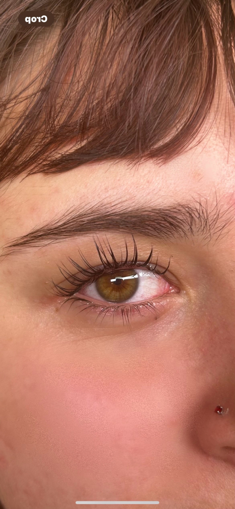 Lash Lift And Tint