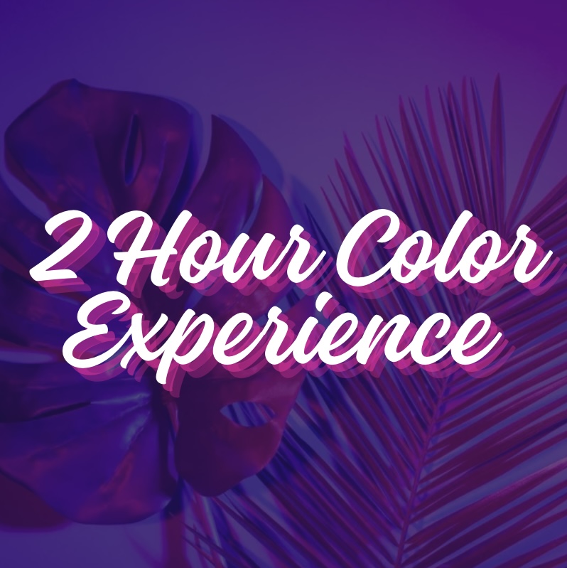 2 Hour Color Experience