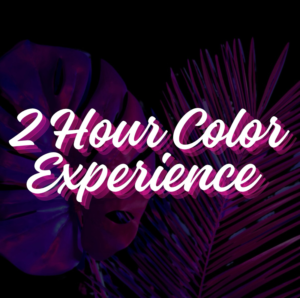 2 Hour Color (Full Highlight)