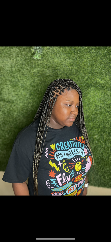 Knotless Braids (small)