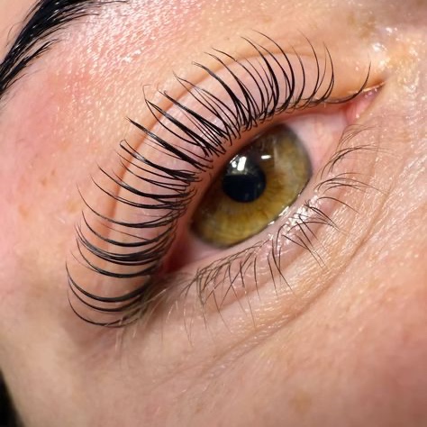 Korean Lash Lift