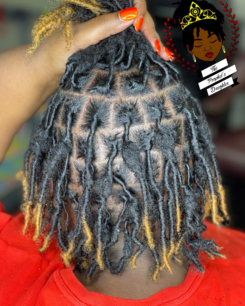 Coil Starter Locs(4-8 inches)