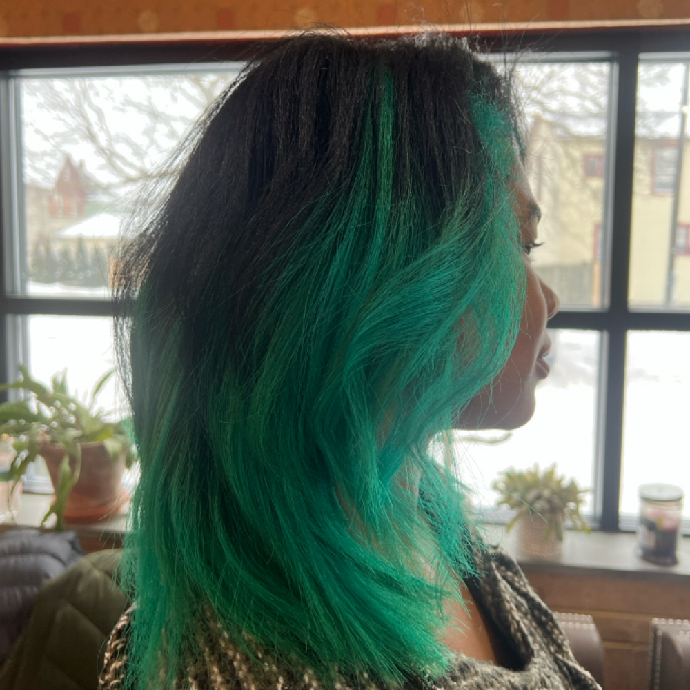 Silk Press | Deep Condition at Danayé Marie in Auburn, NY