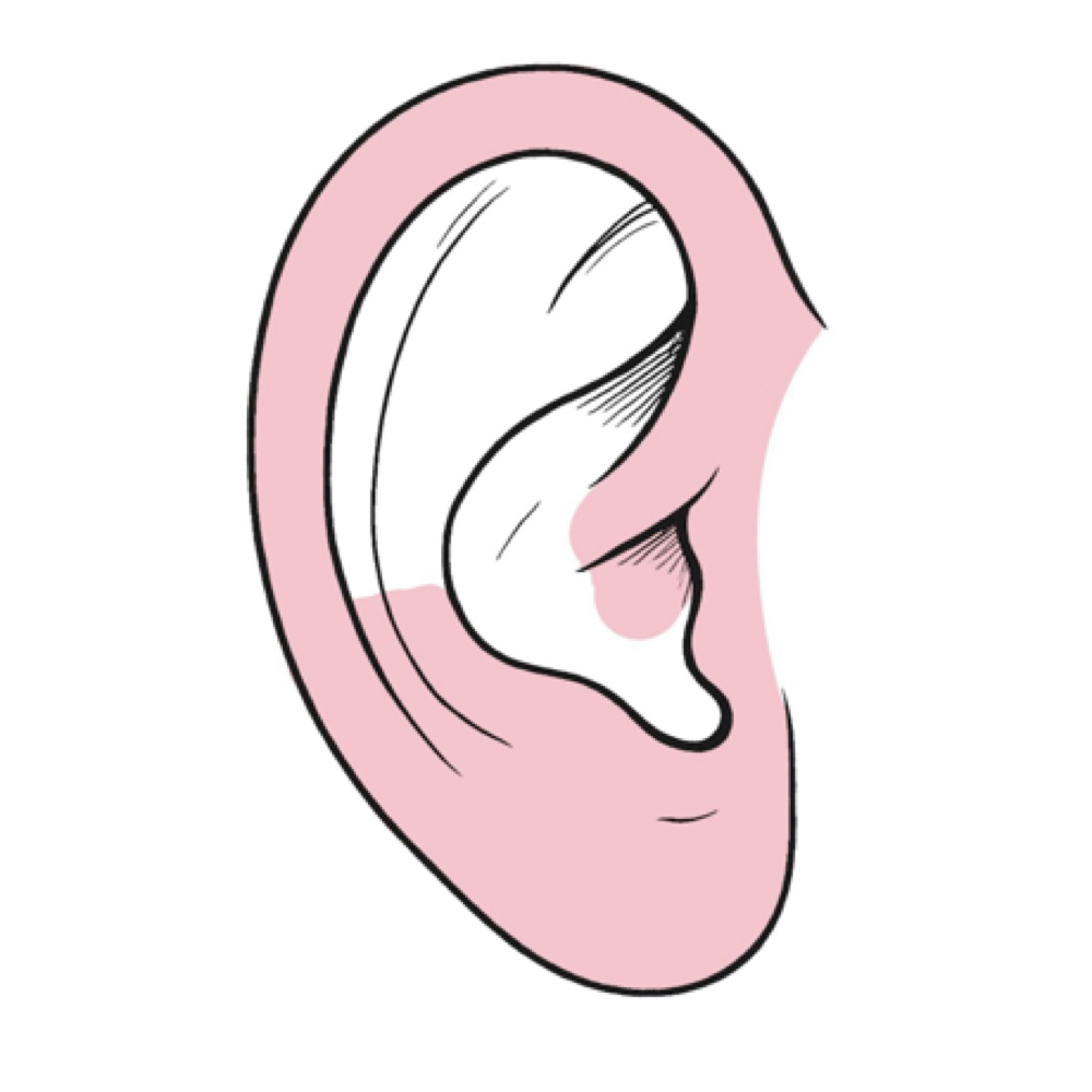ears at The Rose Room in Tyler, TX