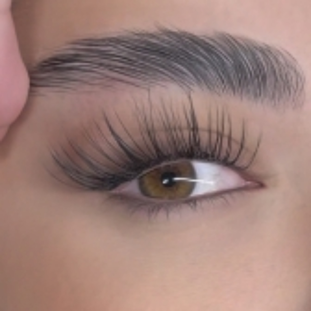 Korean Lash Lift Plus Extensions at Casa Yurvana in St. Petersburg, FL