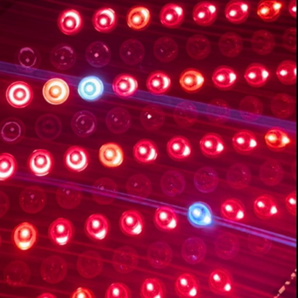 Red Light Therapy ADD ON at Optimize Aesthetics & Wellness in Tewksbury, MA