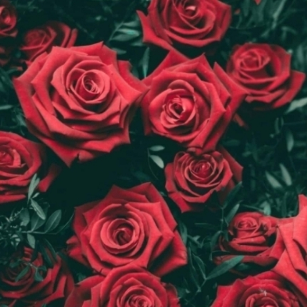 $85 VALENTINES SPECIAL FULL SET❤️