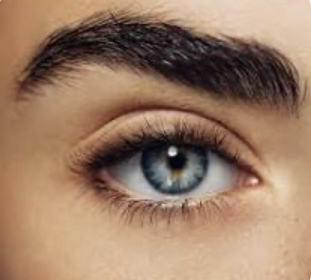 Eyebrow Tinting