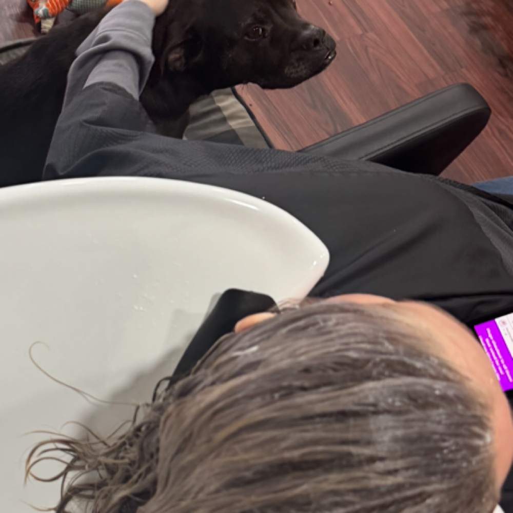 Luxury Toner At Bowl at Sabrina’s Parlour in Columbus, OH