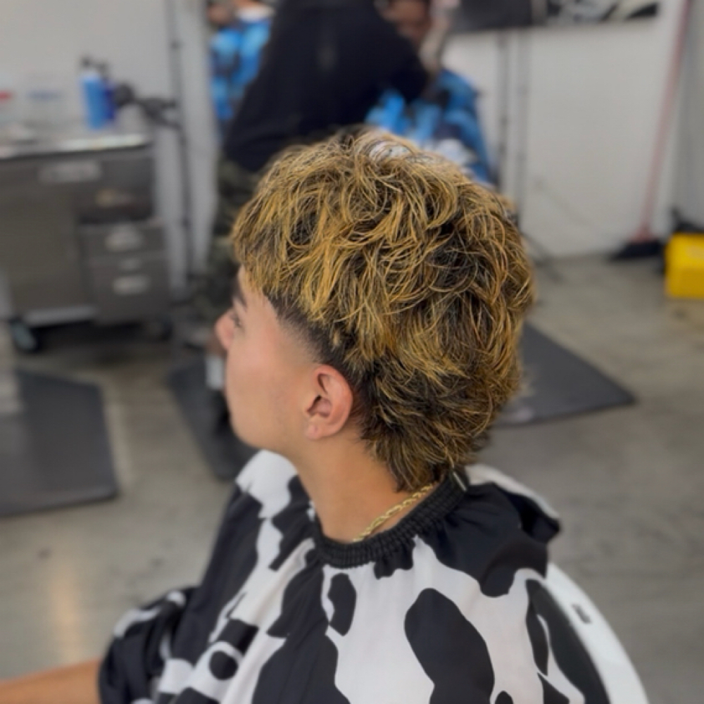 Haircolor Service at Nonoblendz in Benicia, CA