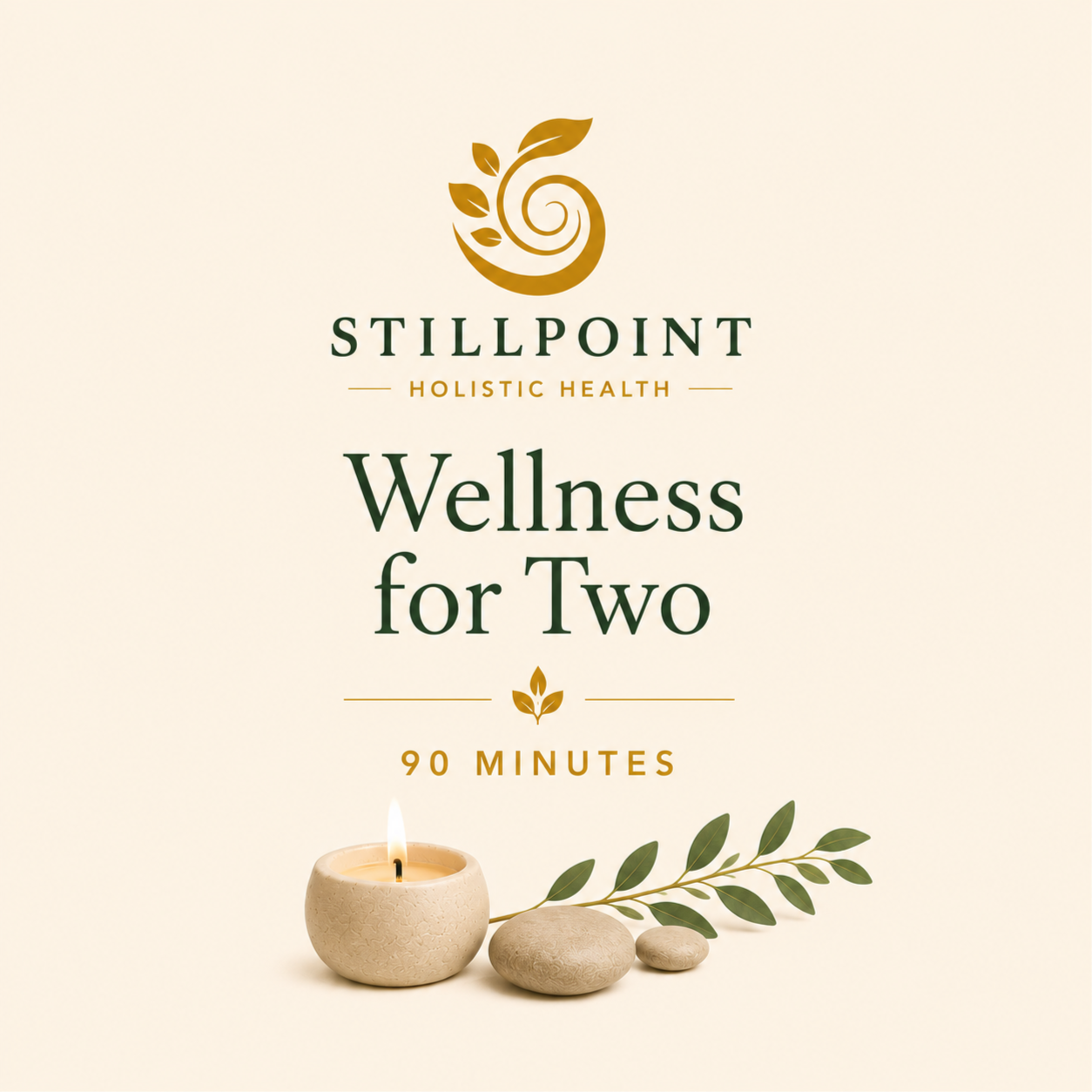 Wellness For Two- 90 minutes at Stillpoint Holistic Health in Van Buren, ME