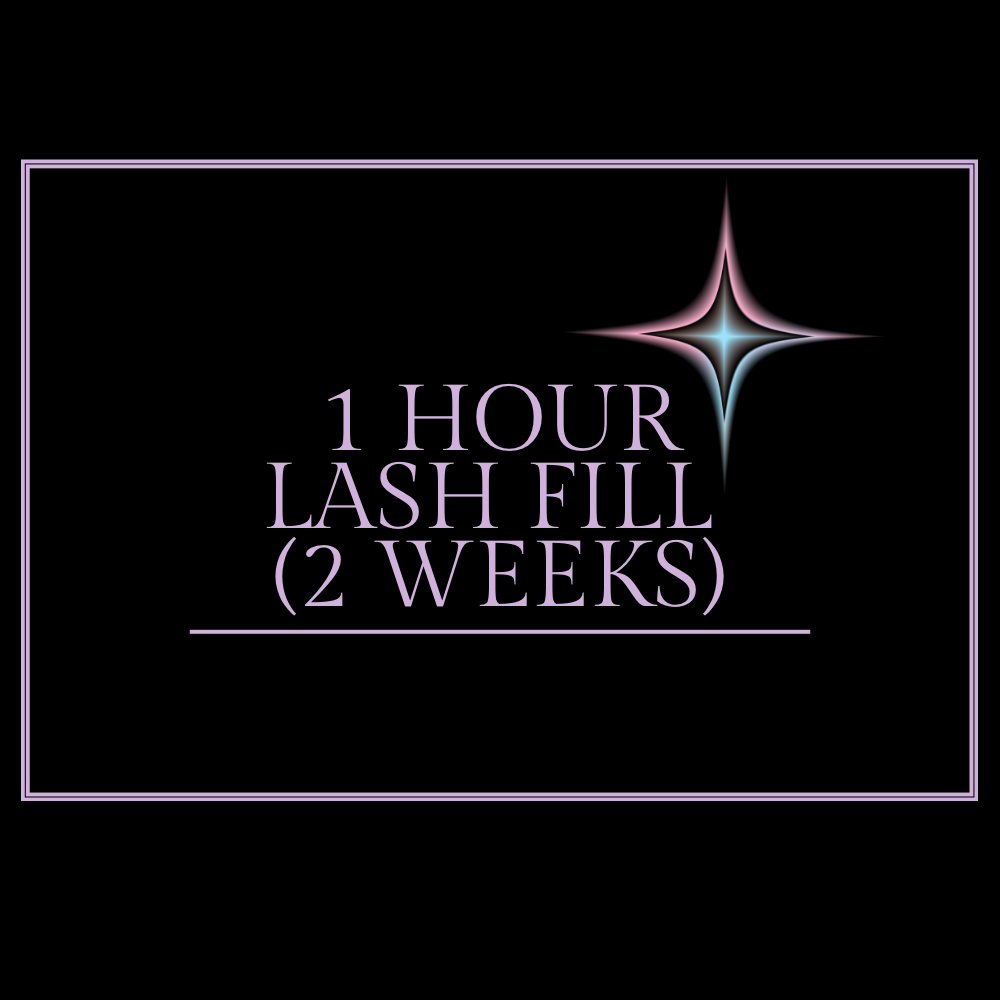 1 hour lash fill (2 weeks)