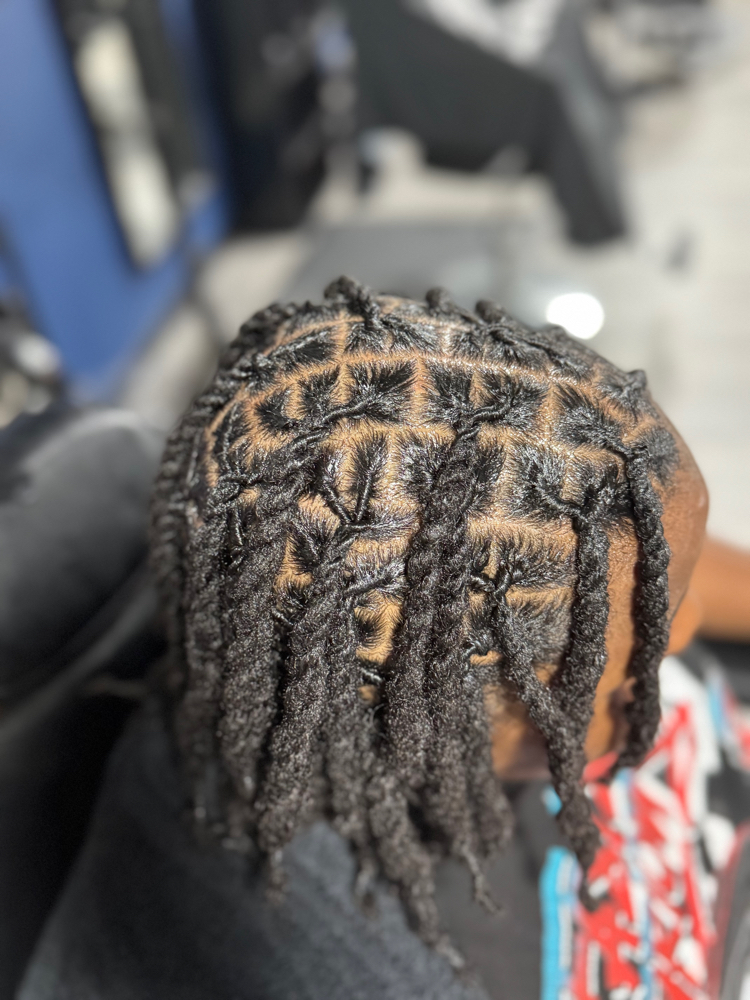 Loc Retwist