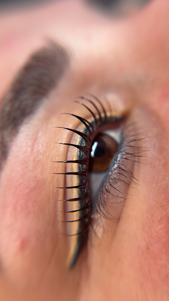 KOREAN LASH LIFT BANHADA at ROSTRO PERFECTO in Hialeah, FL