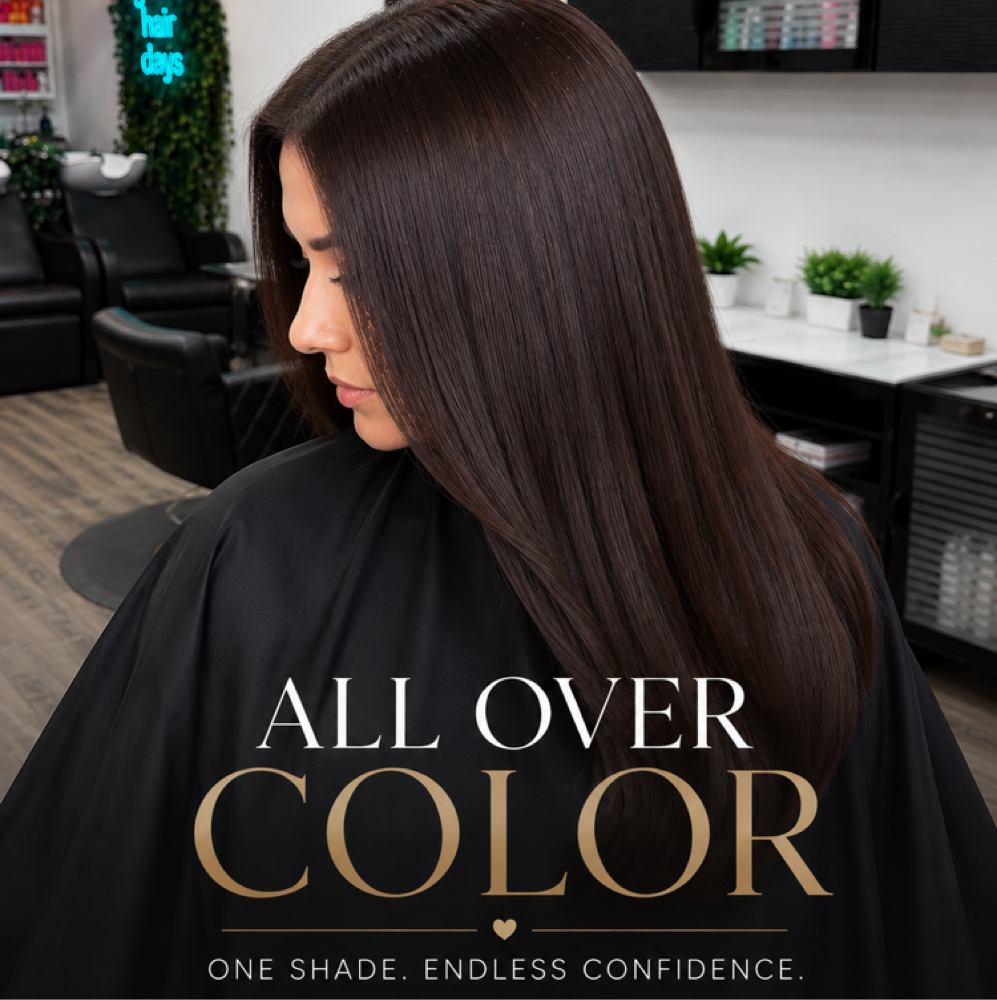 All Over Color at Dania’s Hair Studio in Tampa, FL