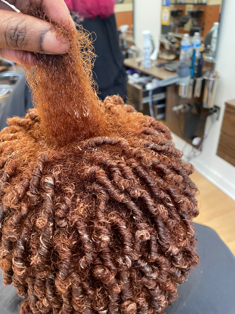 Wash And Curl Definition