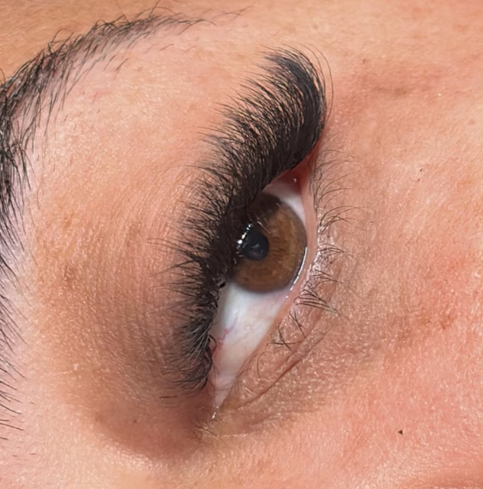 Pre-made Fans/ Lashes at Denisse Plasencia in Ridgefield, NJ