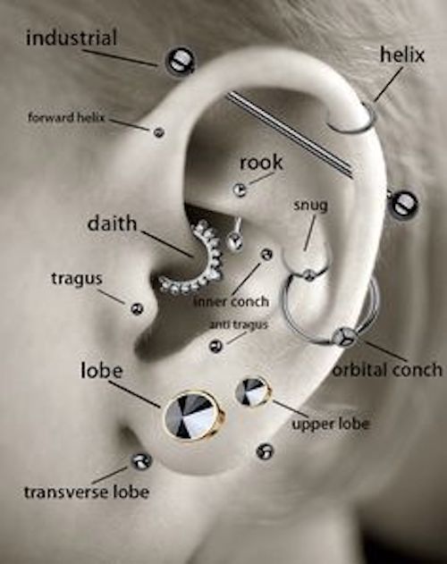 Forward Helix