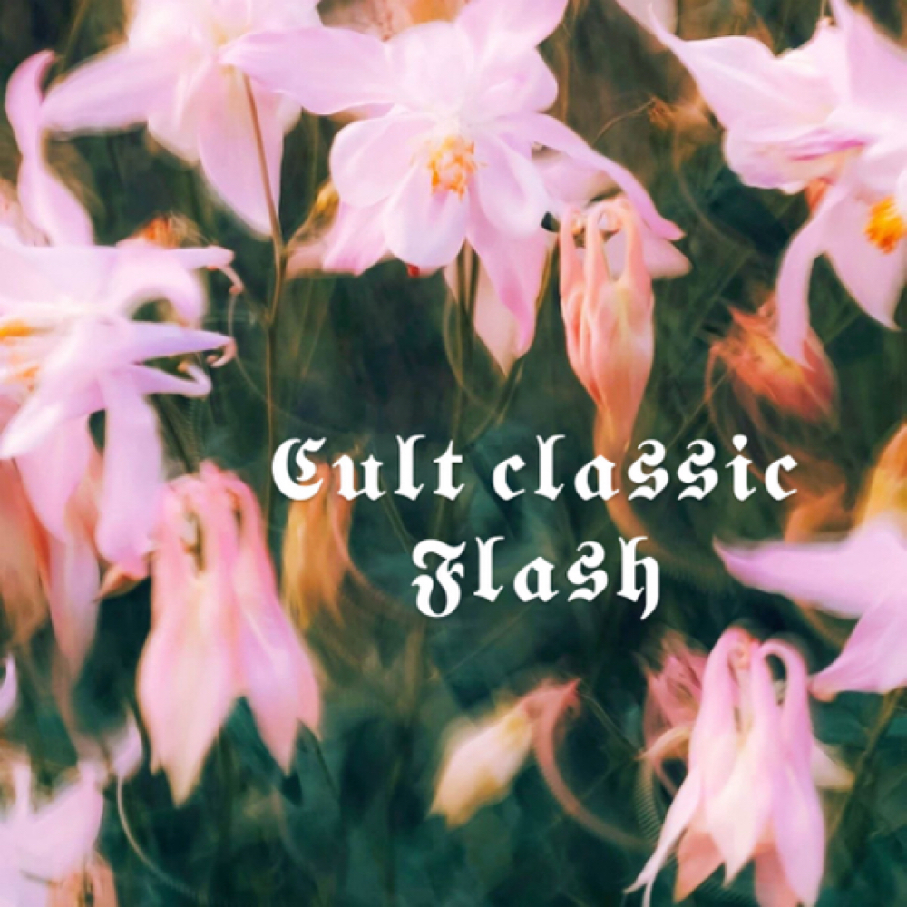 Cult Classic Flash at PaintedMePretty in Vista, CA