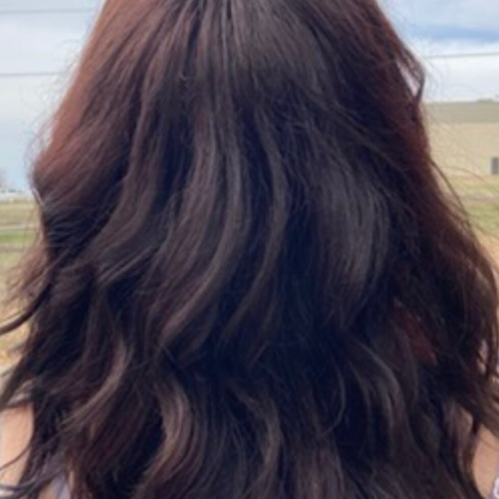 Style Only at Exquisite Salon in harrison, AR
