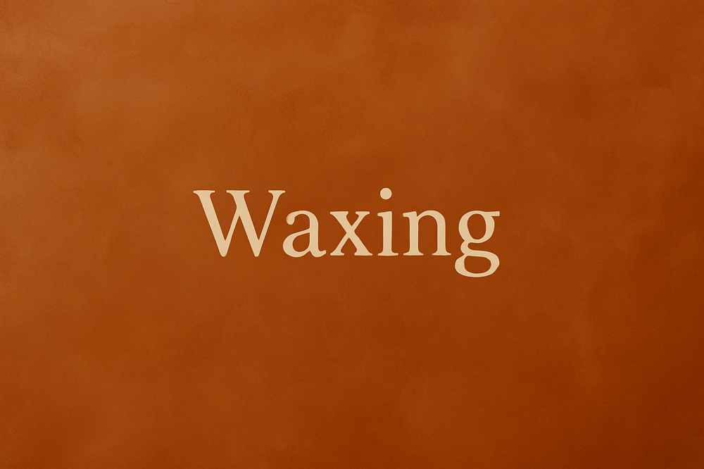 Brazilian Wax at She Skin & Body in North Haven, CT