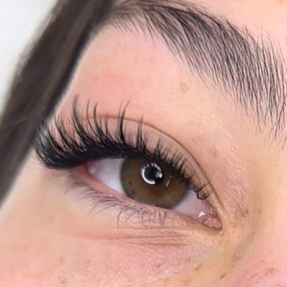 Hybrid 2 Week Fill at Ash’s Lashes in Apple Valley, MN