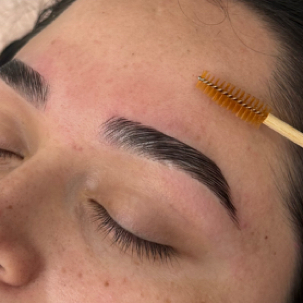 Brow Lamination at Chanti’s Beauty Loft in NC, NC