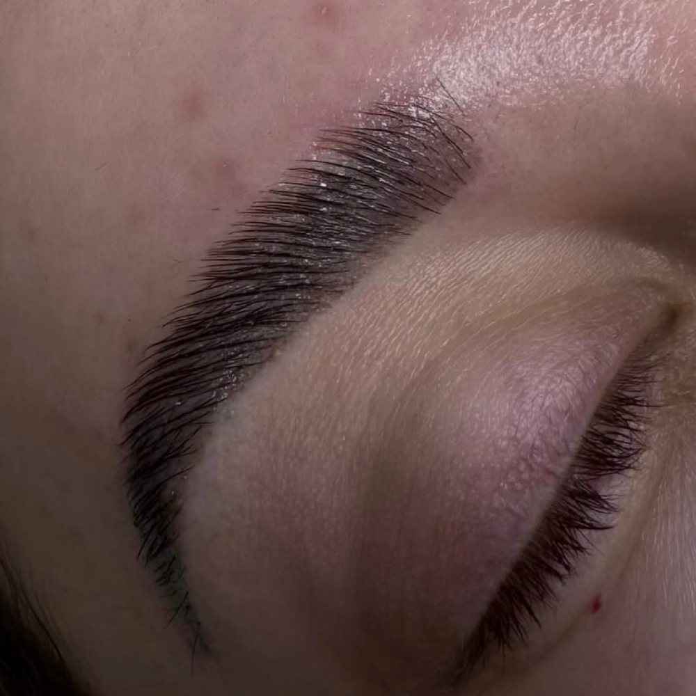 NEW CLIENT BROW LAMMINATION SPECIAL at Michaela Payne Esthetics & Med Spa in Sevierville, TN