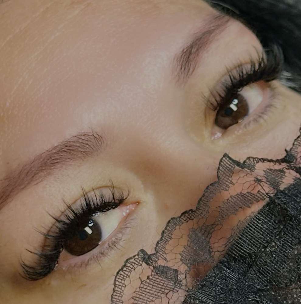 ✦ Shadow Lynx Lash ✦