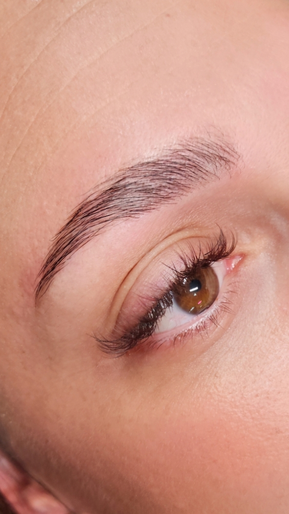 Brow Lamination
