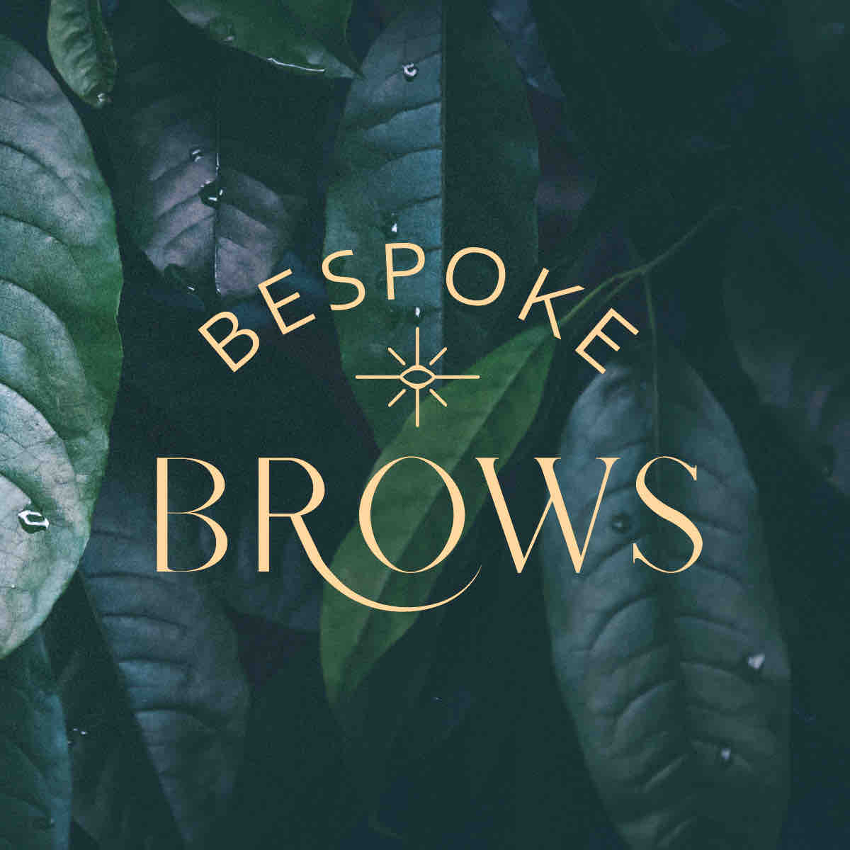 Nano Brows