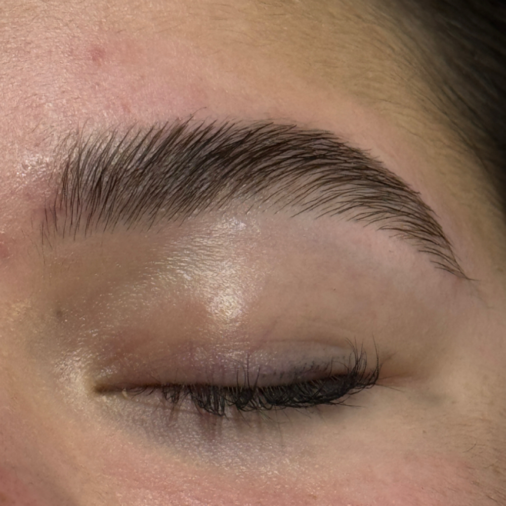 Brow Wax at Skin Refinery in Ozark, MO