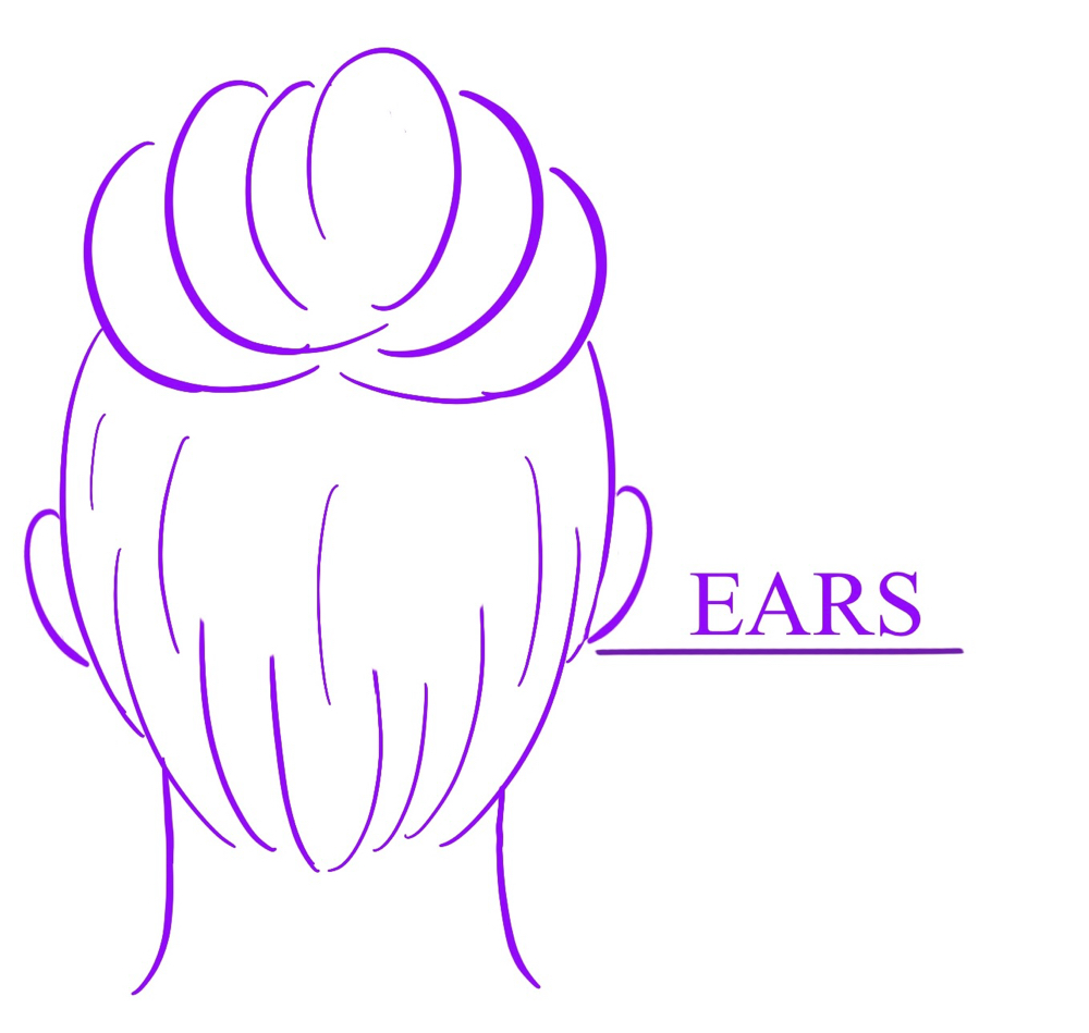 Ears