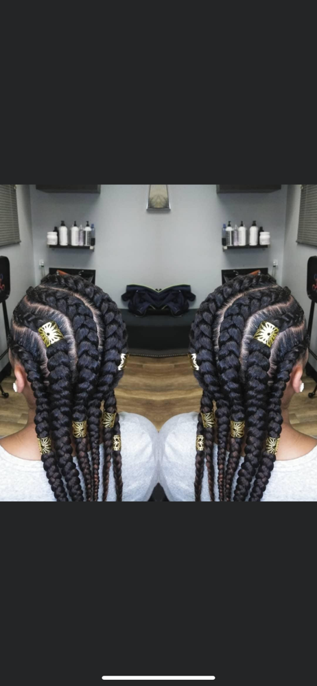 Feed- In Style Braids