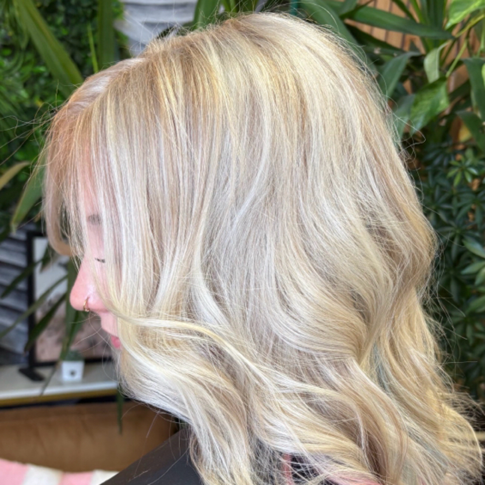 Bleach & Tone Re-Touch at Monica Busch Beauty in Reno, NV