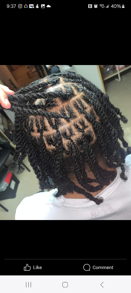 Two Strand Twist