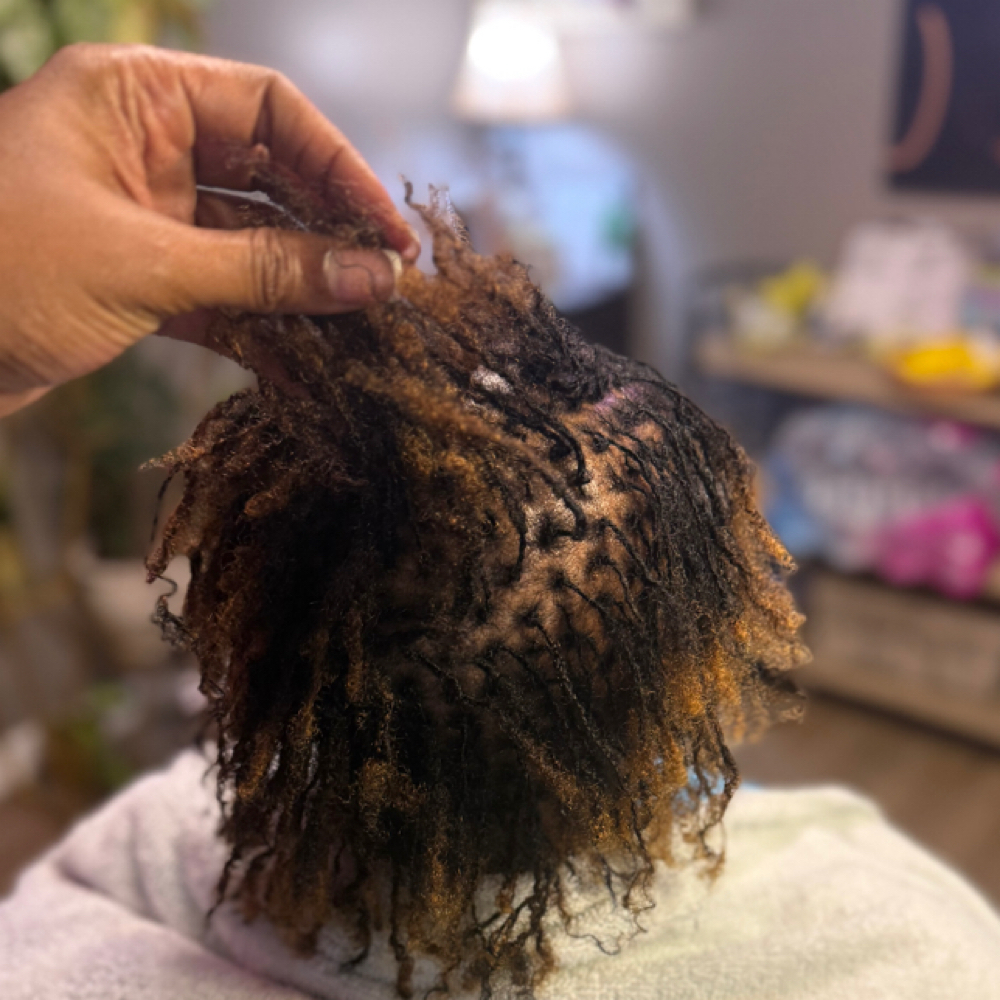 Tiny Locs Interloc Install at Duval LocStar in Jacksonville, FL