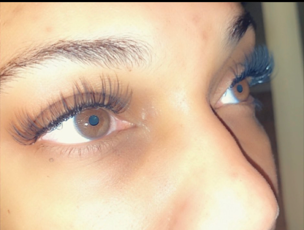 Classic Lashes