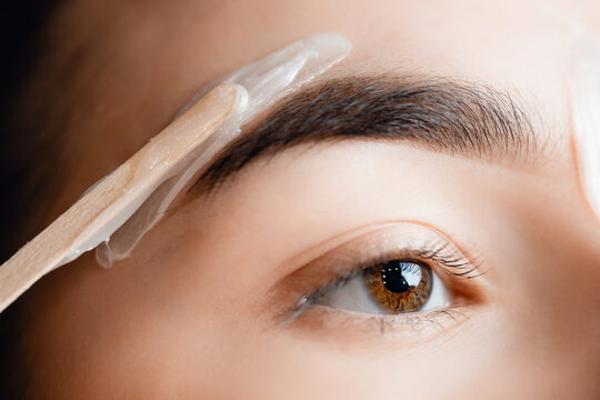Eyebrow Wax & Tint