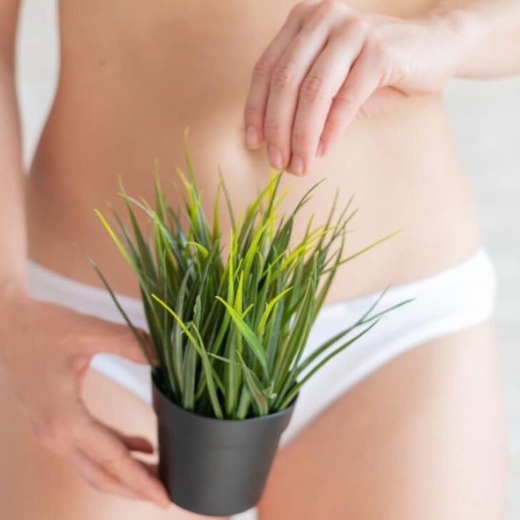 Beyond the Line- Bikini extended