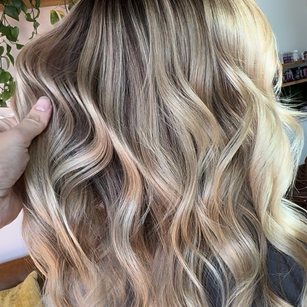 SPRING REFRESH at Appointments in Glendale, CA