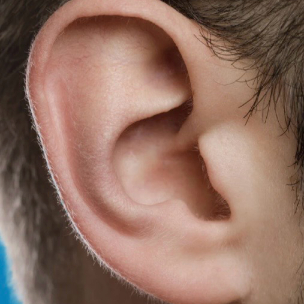 Ears