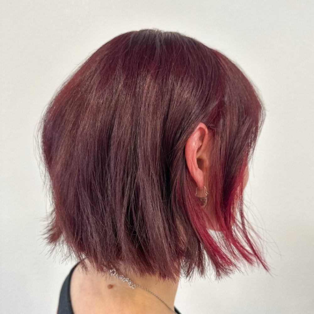 RETURNING GUEST HAIRCUT at The Luminescent Collective in Fort Worth, TX