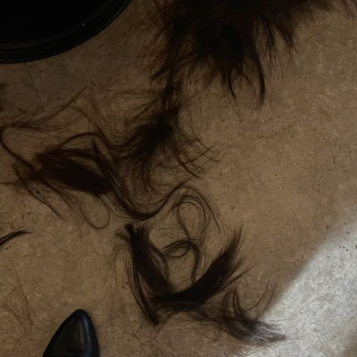 Haircut Option 2 at Brunette + Social in Lewiston, ID