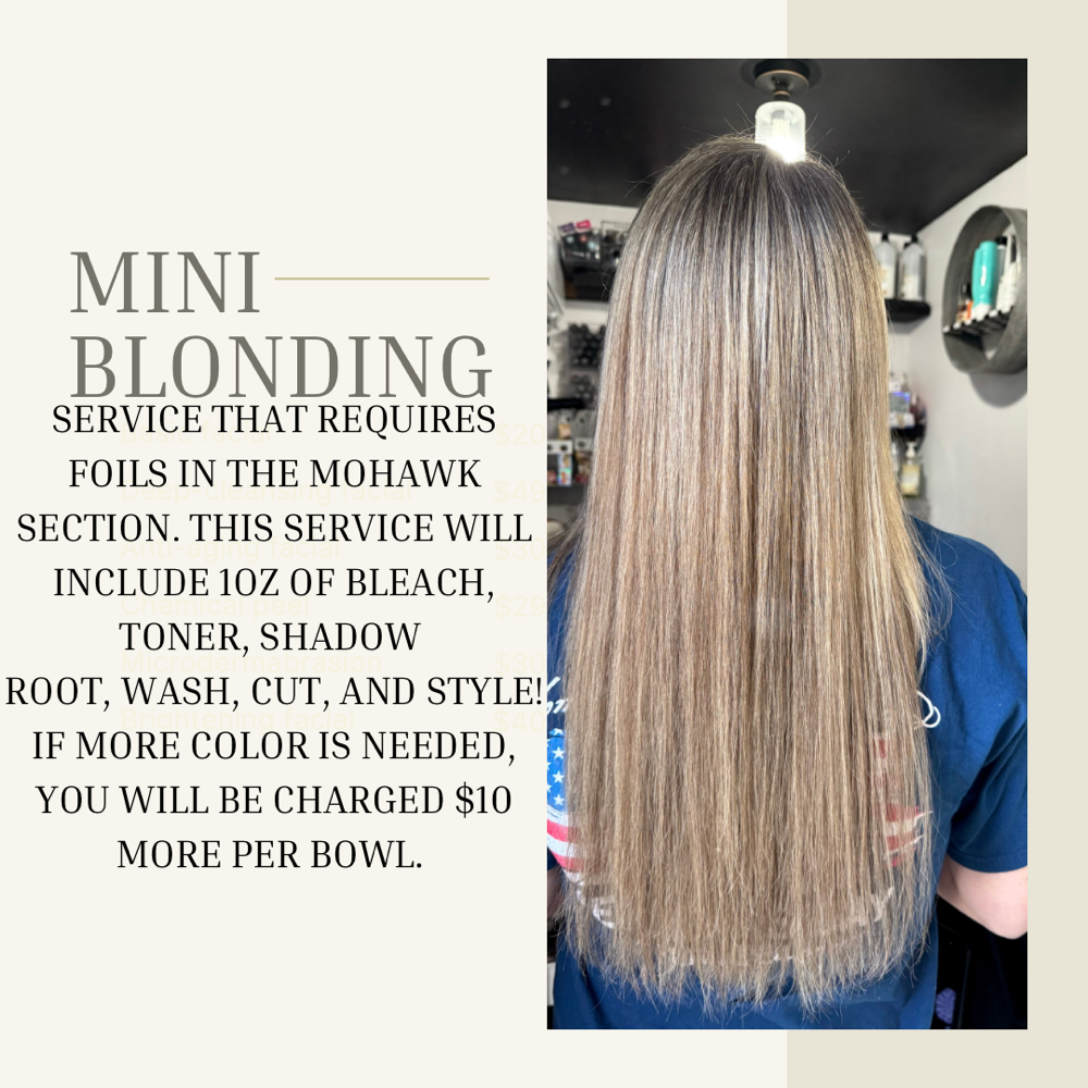Mini Blonding Package